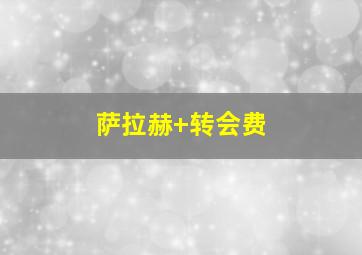 萨拉赫 转会费